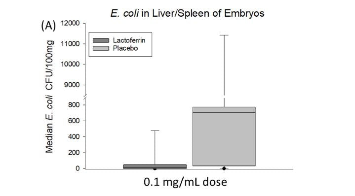 IP License - Lactoferrin for Potential Prevention Against Neonatal Sepsis