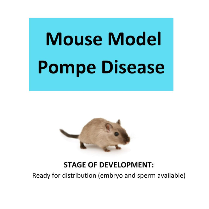 Mouse Model: Pompe Disease